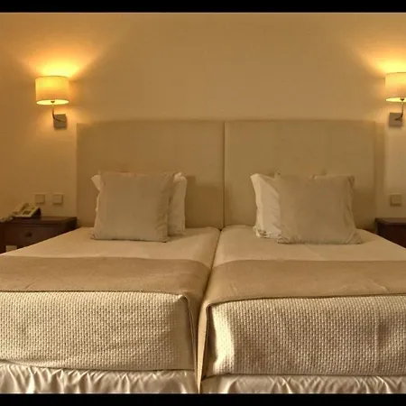 ソーラー パルメイラス