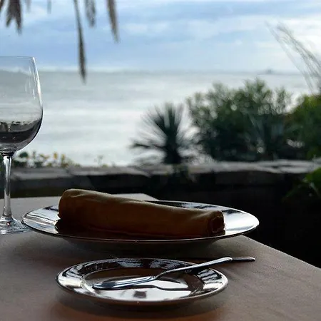 ソーラー パルメイラス