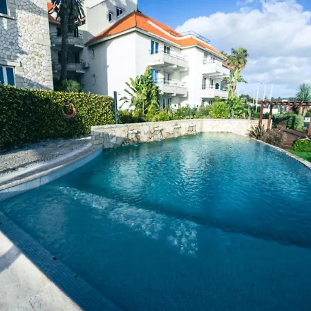 ソーラー パルメイラス