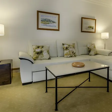 ソーラー パルメイラス