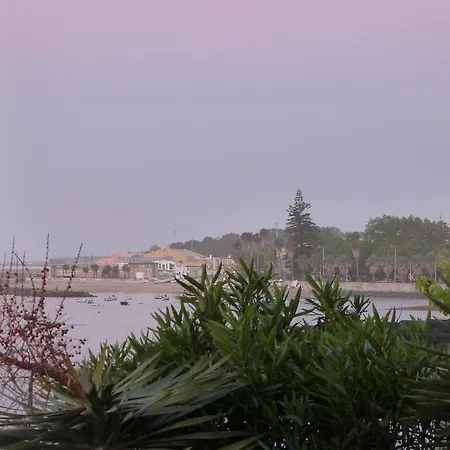 ホテル ソーラー パルメイラス パコ・デ・アルコス